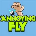 Annoying Fly